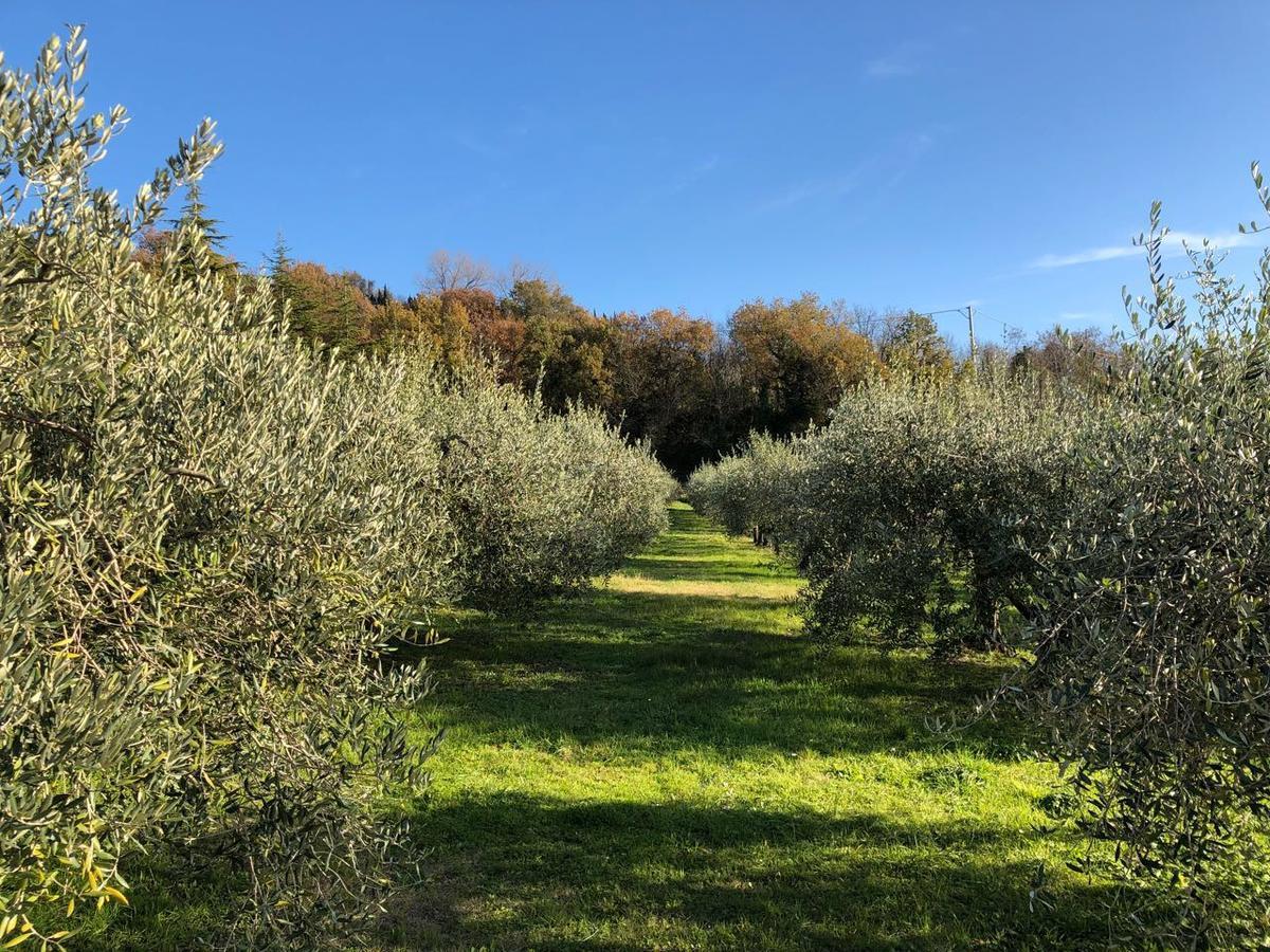 La Tenuta Del Giglio Villa Tavullia Luaran gambar